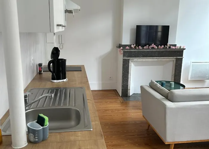 Le Toulousain 102 - Cosy En Hypercentre - Quartier Jeanne D'arc *