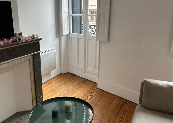 Le Toulousain 102 - Cosy En Hypercentre - Quartier Jeanne D'arc * Toulouse