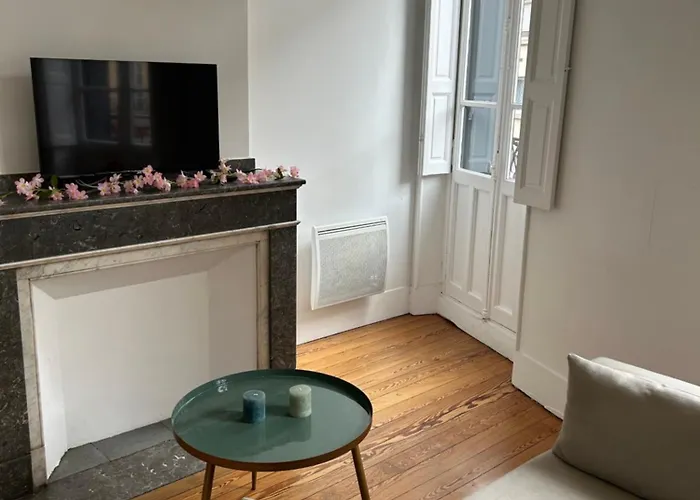 Le Toulousain 102 - Cosy En Hypercentre - Quartier Jeanne D'arc Appartement *